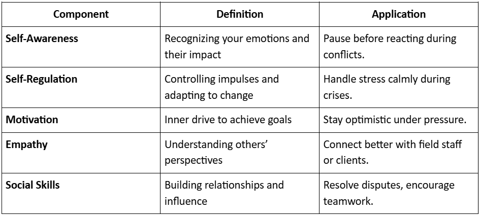 Emotional Intelligence (EI) Framework